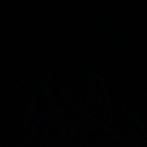 Meet your Posher, Ester